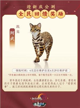 天龙八部私服更换宝宝